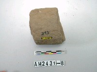 藏品(石杵)的圖片